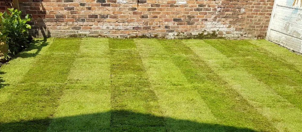 Garden Services London